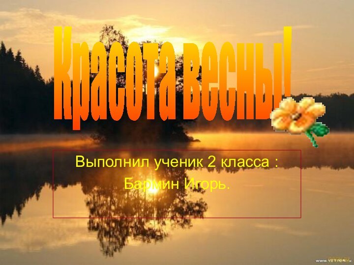 Выполнил ученик 2 класса : Бармин Игорь.Красота весны!