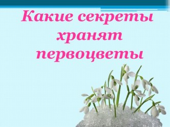 Какие секреты хранят первоцветы