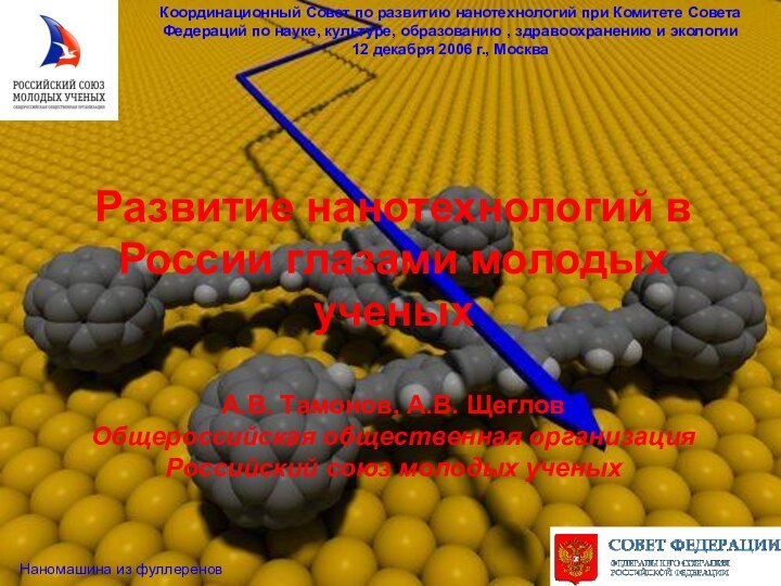 Развитие нанотехнологий в России глазами молодых ученых  А.В. Тамонов, А.В. Щеглов