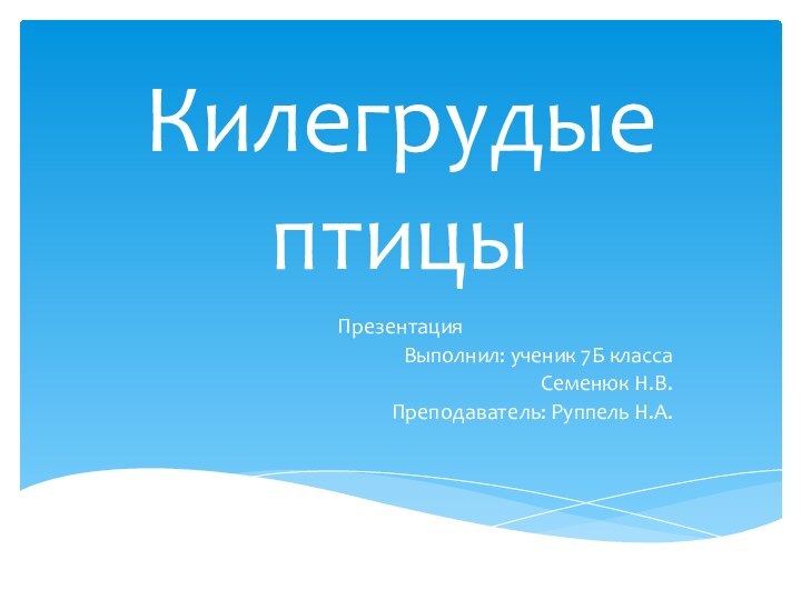 Килегрудые птицыПрезентация Выполнил: ученик 7Б класса Семенюк Н.В.Преподаватель: Руппель Н.А.