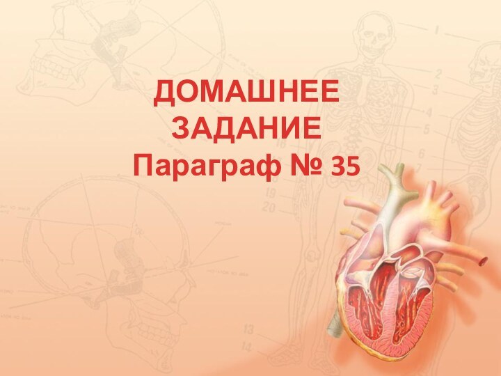 ДОМАШНЕЕ ЗАДАНИЕ Параграф № 35