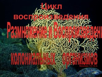 Цикл воспроизведения