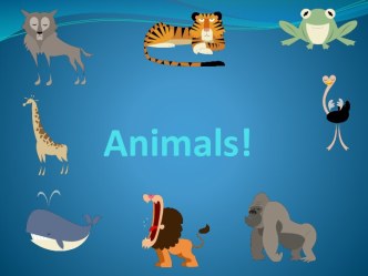 Animals!