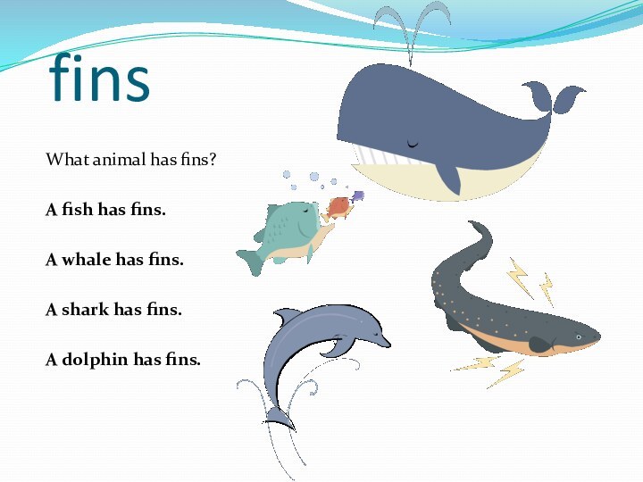 fins	What animal has fins?A fish has fins.A whale has fins.A shark has fins.A dolphin has fins.