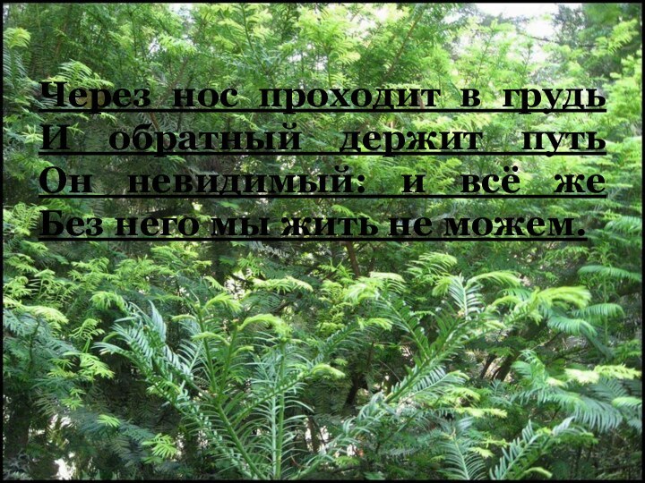 Через нос проходит в грудь И обратный держит путь Он невидимый: и