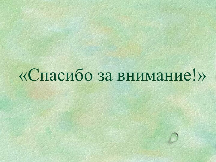 «Спасибо за внимание!»