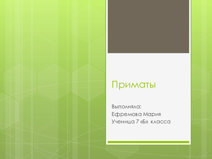 Приматы Выполняла: Ефремова Мария Ученица 7 «Б» класса