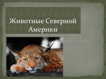 Животные Северной Америки