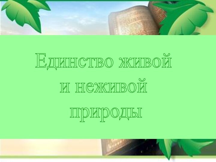 Единство живой и неживой природы