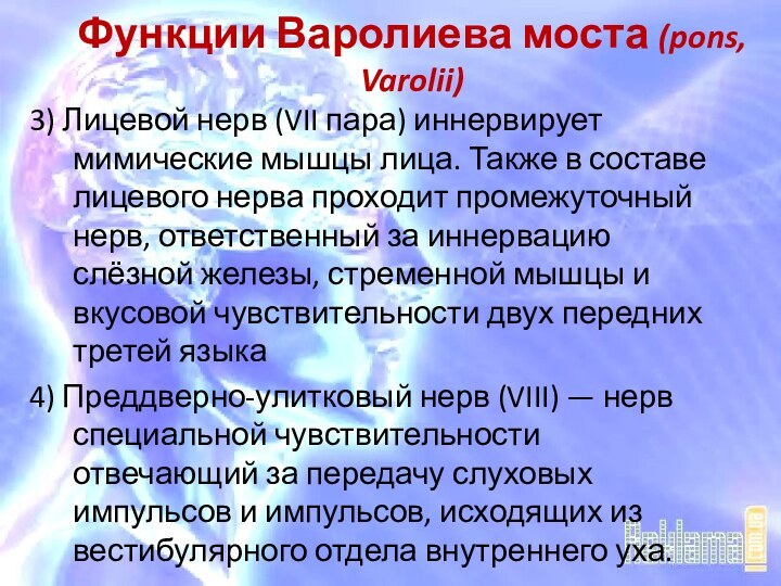 Функции Варолиева моста (pons, Varolii)3) Лицевой нерв (VII пара) иннервирует мимические мышцы