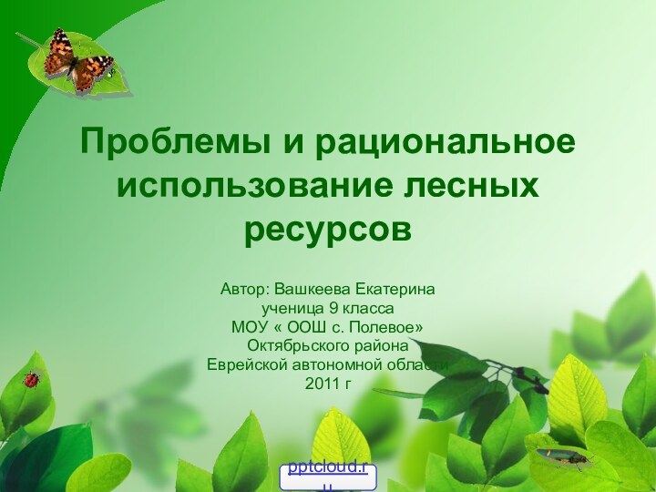 Проблемы и рациональное использование лесных ресурсов Автор: Вашкеева Екатеринаученица 9 класса МОУ