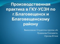 Производственная практика в ГКУ-УСЗН по г.Благовещенск и Благовещенскому району