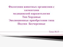 Филогения животных организмов с элементами медицинской паразитологии