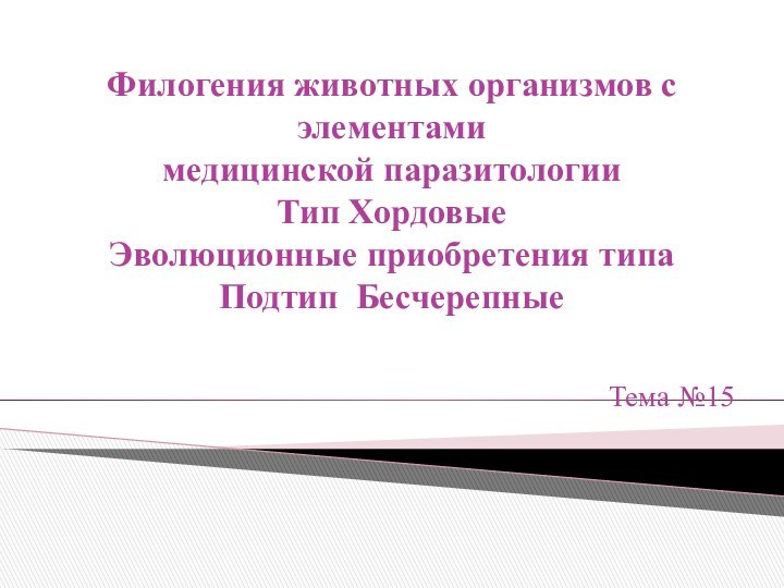 Филогения животных организмов с элементами медицинской паразитологии Тип Хордовые Эволюционные приобретения типа