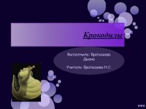 Крокодилы