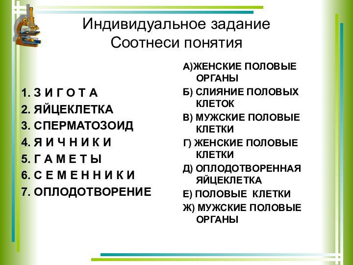 Индивидуальное задание Соотнеси понятия1. З И Г О Т А2. ЯЙЦЕКЛЕТКА3. СПЕРМАТОЗОИД4.