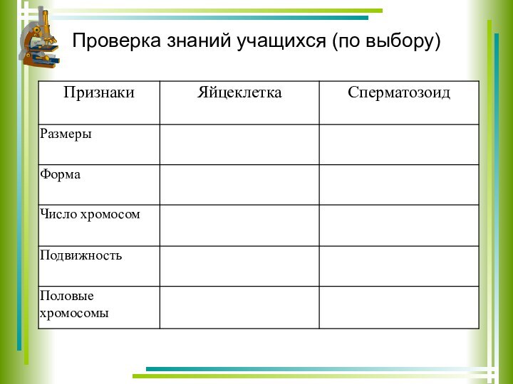 Проверка знаний учащихся (по выбору)