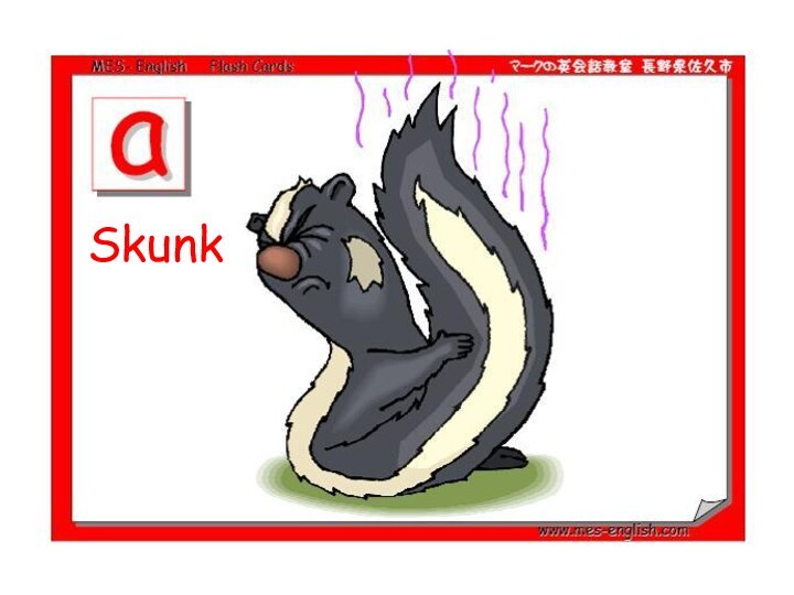 Skunk