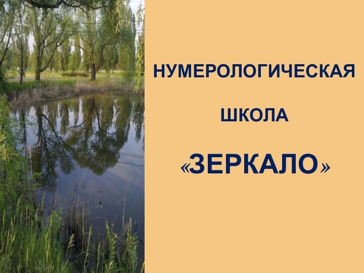 Нумерологическая 

школа 

«ЗЕРКАЛО»