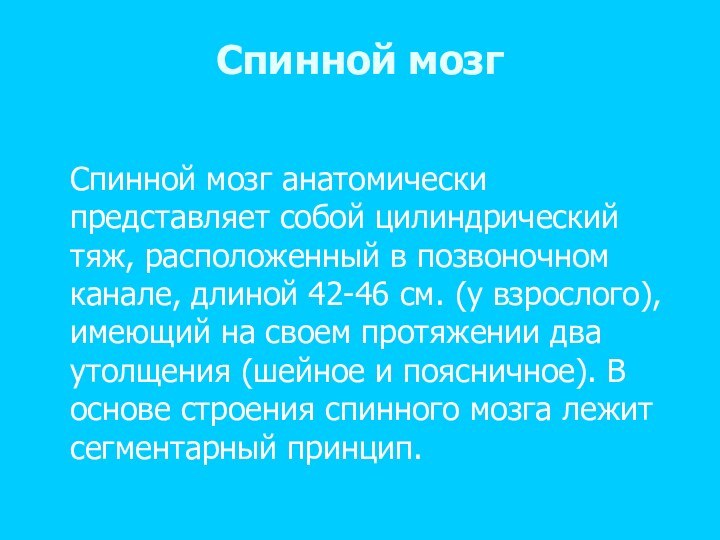 Спинной мозг  Спинной мозг анатомически представляет собой цилиндрический тяж, расположенный в