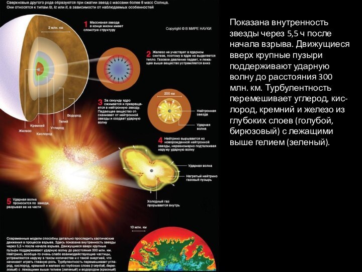 Показана внутренность звезды через 5,5 ч после начала взрыва. Движущиеся вверх крупные
