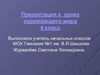 Устройство организма человека