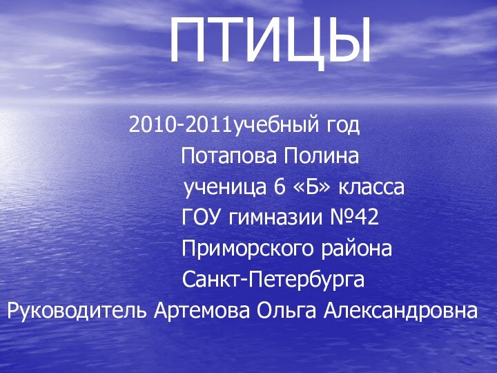 ПТИЦЫ          2010-2011учебный год