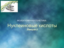 Молекулярная генетика. Нуклеиновые кислоты