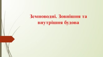 Земноводні. Зовнішня та внутрішня будова