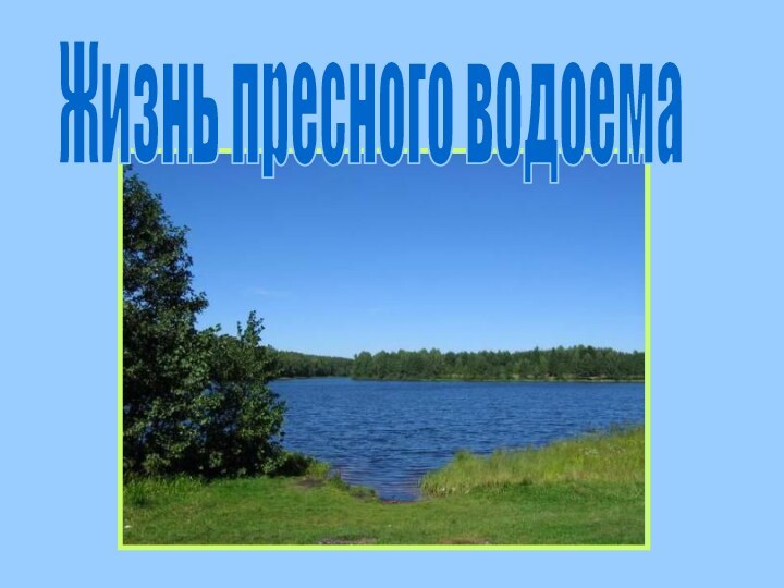 Жизнь пресного водоема