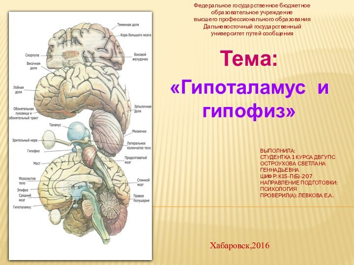 Выполнила: студентка 1 курса ДВГУПС