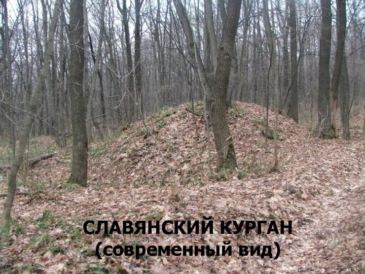 СЛАВЯНСКИЙ КУРГАН(современный вид)