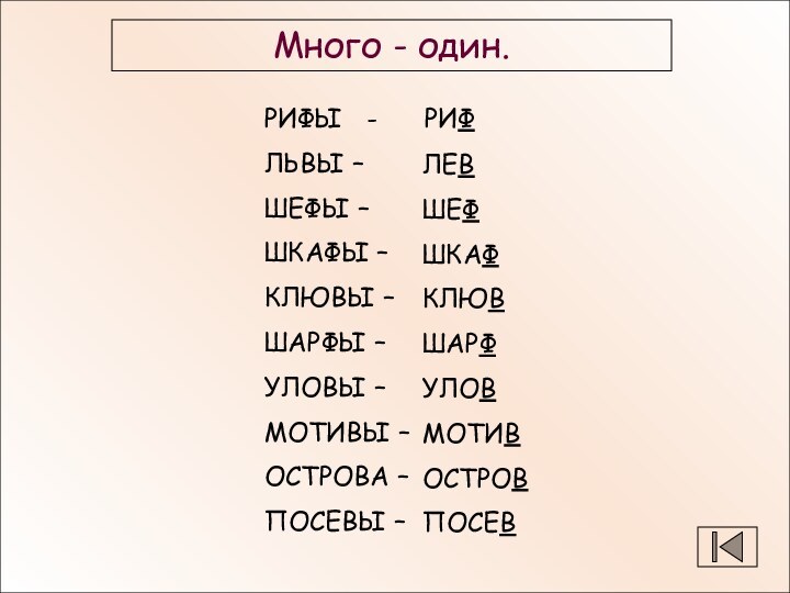 Много - один.РИФЫ  -   РИФЛЬВЫ – ШЕФЫ – ШКАФЫ