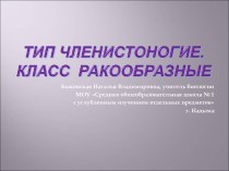 Класс ракообразные и их особенности