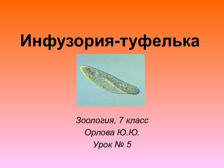 Инфузория-туфелька Зоология, 7 классОрлова Ю.Ю.Урок № 5