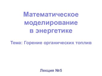 Математическое моделированиев энергетикеТема:Горение органических топлив