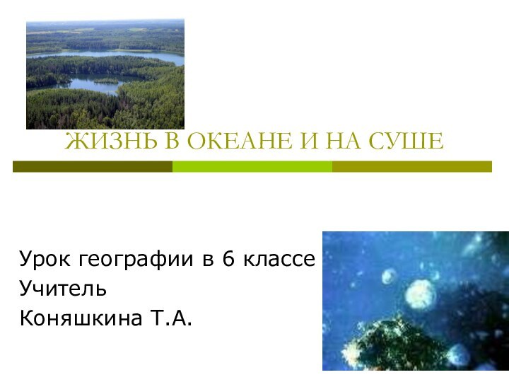 ЖИЗНЬ В ОКЕАНЕ И НА СУШЕУрок географии в 6 классеУчитель Коняшкина Т.А.