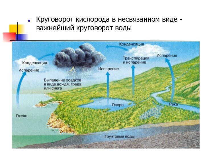 Круговорот кислорода в несвязанном виде - важнейший круговорот воды