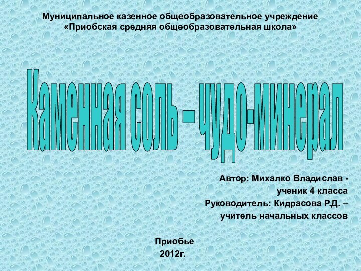 Муниципальное казенное общеобразовательное учреждение  «Приобская средняя общеобразовательная школа»