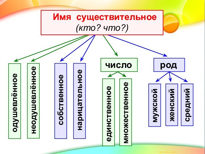 число  род  мужской женский неодушевлённое одушевлённое  нарицательное собственное