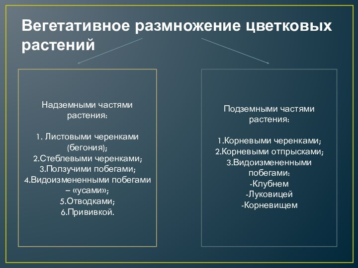 Вегетативное размножение цветковых растенийНадземными частями растения:1. Листовыми черенками (бегония);2.Стеблевыми черенками;3.Ползучими побегами;4.Видоизмененными побегами