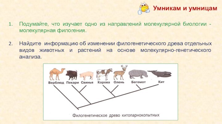 Подумайте, что изучает одно из направлений молекулярной биологии -молекулярная филогения.Найдите информацию об