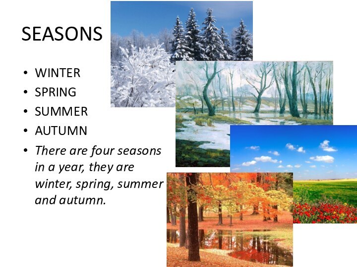 SEASONSWINTERSPRINGSUMMERAUTUMNThere are four seasons in a year, they are winter, spring, summer and autumn.