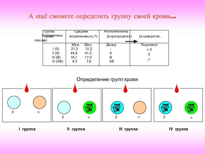 Группа