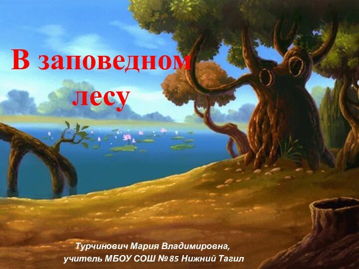 В заповедном лесуТурчинович Мария Владимировна, учитель МБОУ СОШ № 85 Нижний Тагил