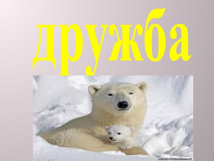 дружба