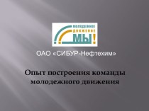 Задачи Молодежного движения