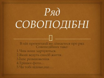 Ряд СОВОПОДІБНІ