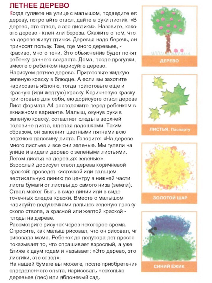 ЛЕТНЕЕ ДЕРЕВОКогда гуляете на улице с малышом, подведите его к дереву, потрогайте