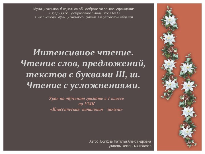 Интенсивное чтение. Чтение слов, предложений, текстов с буквами Ш, ш. Чтение с